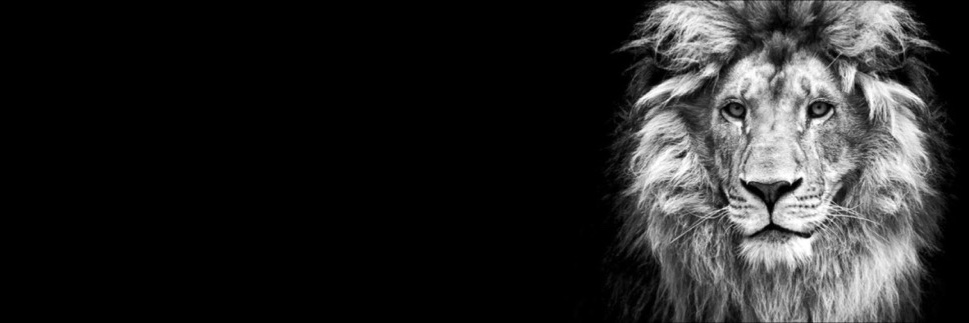 AdelBaraja's profile banner image