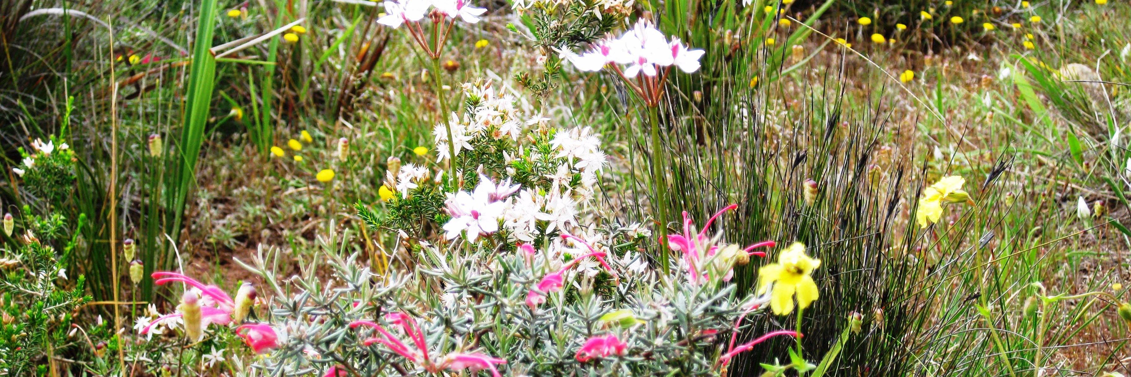 GWLAPgroundup's profile banner image