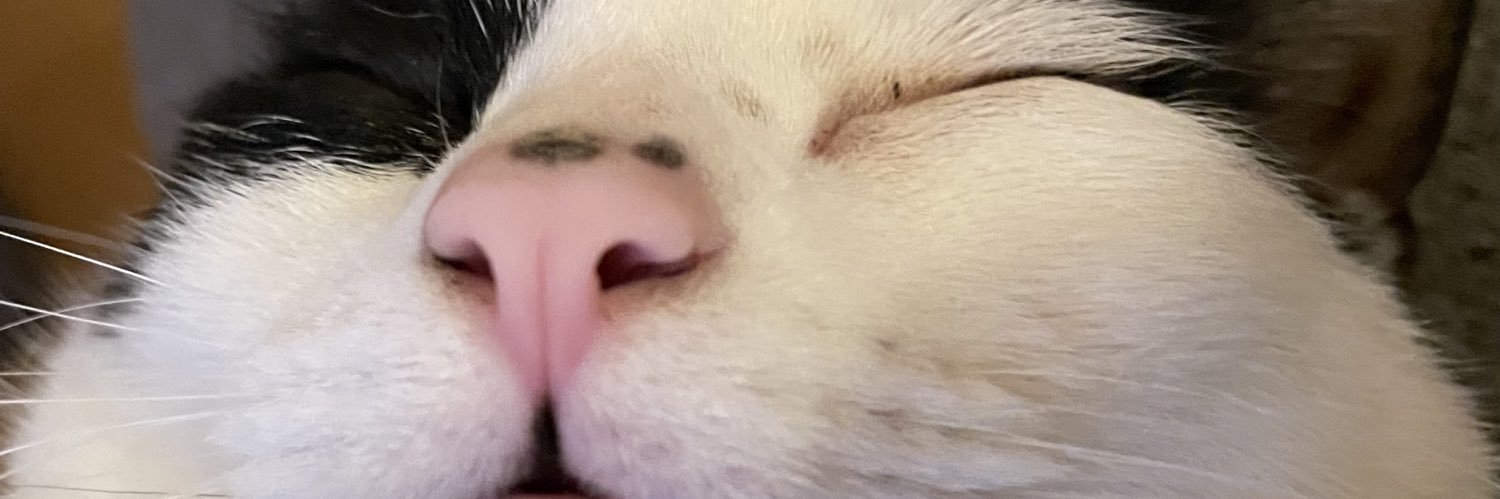 ssmoossh's profile banner image