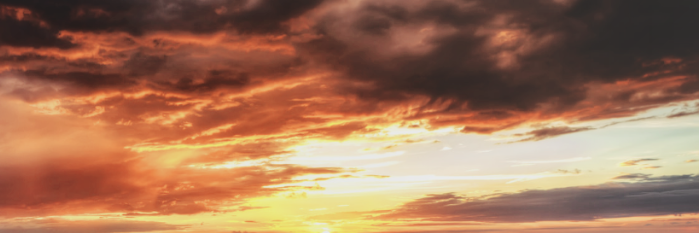 lowqualitydl's profile banner image