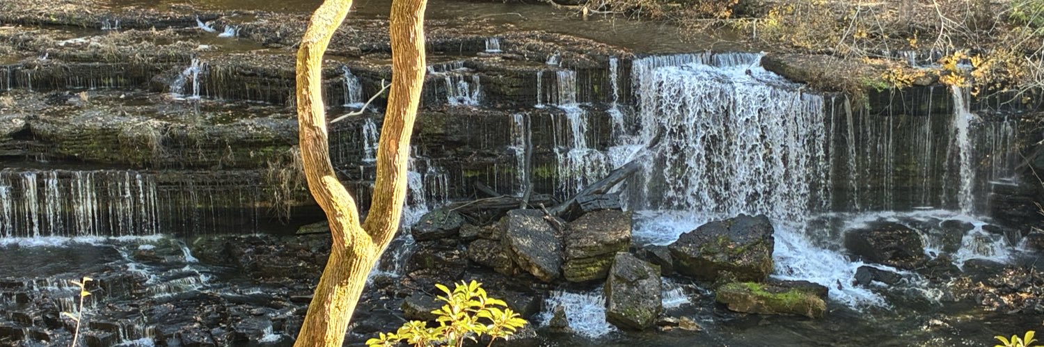 heartshapedhelp's profile banner image