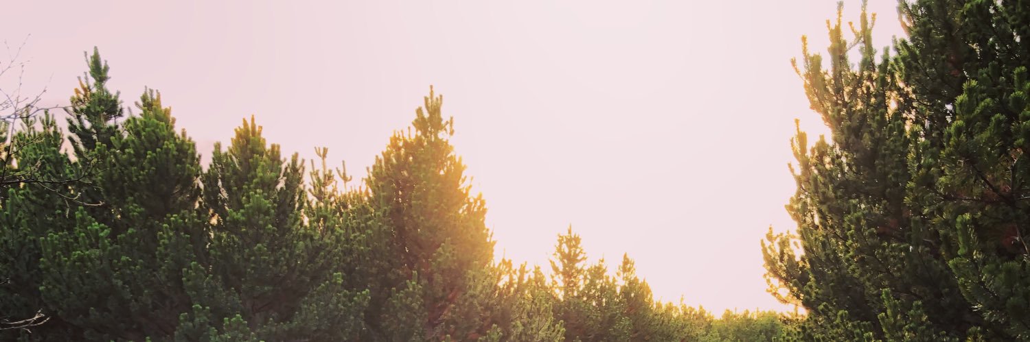 Tanja Rún Kristmanns banner