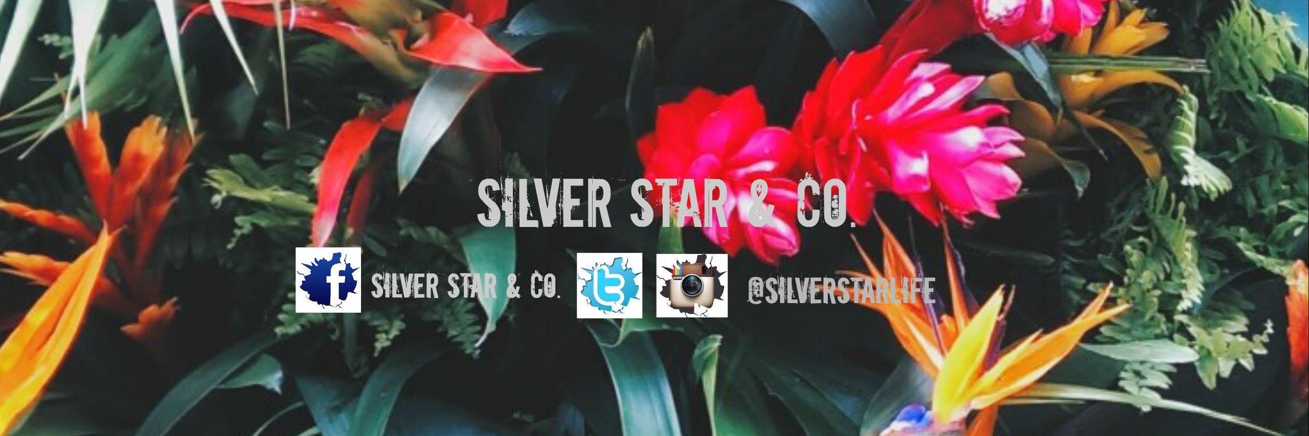silverstarlife's profile banner image