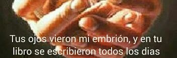 Andrés Obed Pérez banner