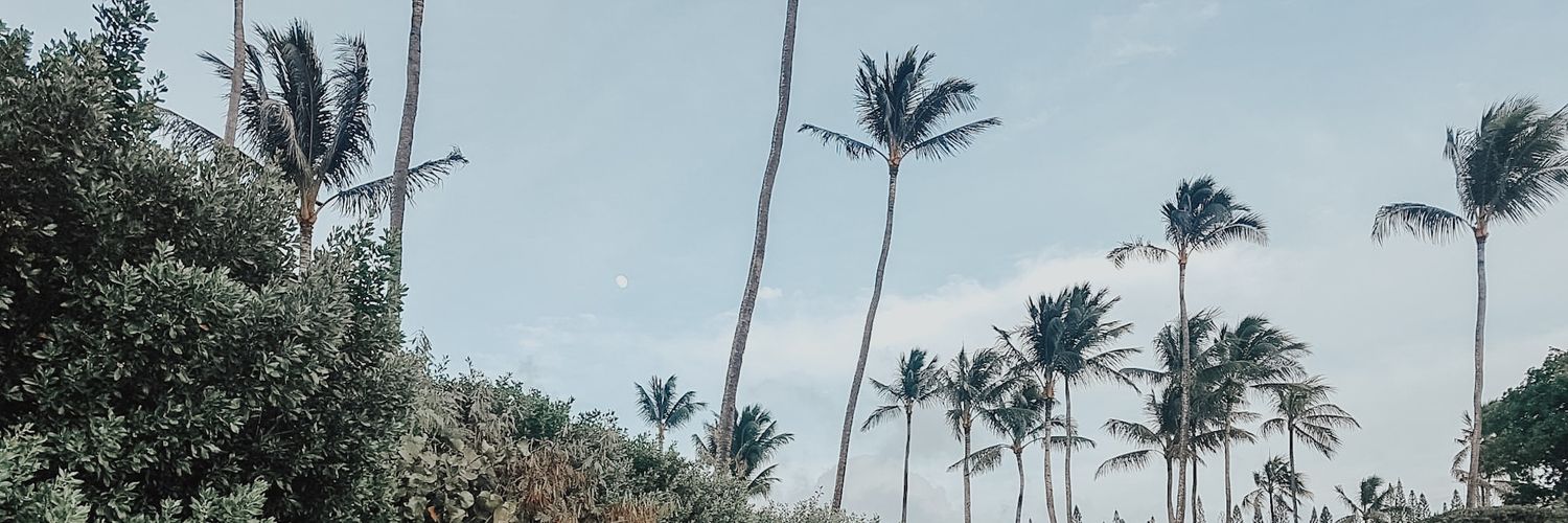 CarrieWSS's profile banner image