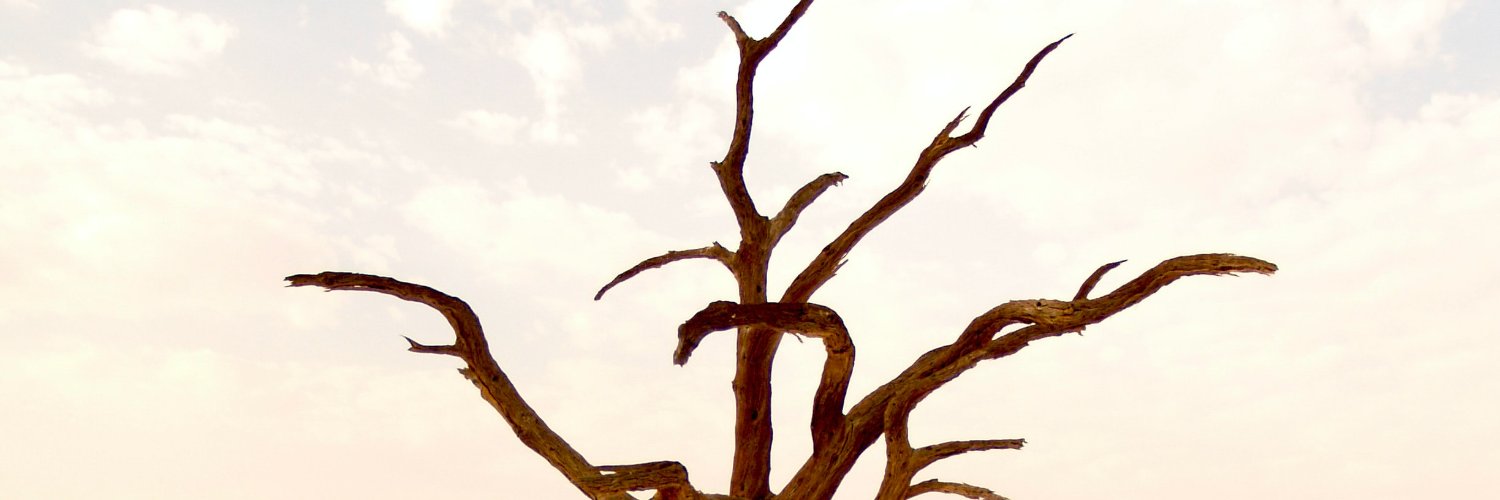 Fletchevdnn's profile banner image