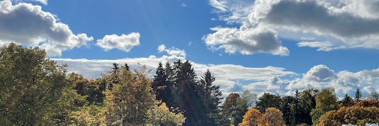 fredrast's profile banner image