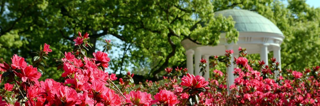 unc_2021's profile banner image