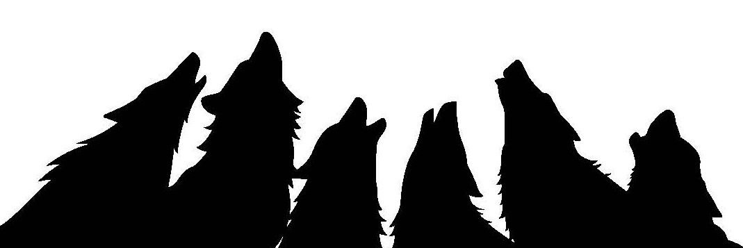 Wolfpackcosom's profile banner image