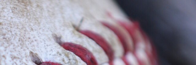 ryanhath3003's profile banner image
