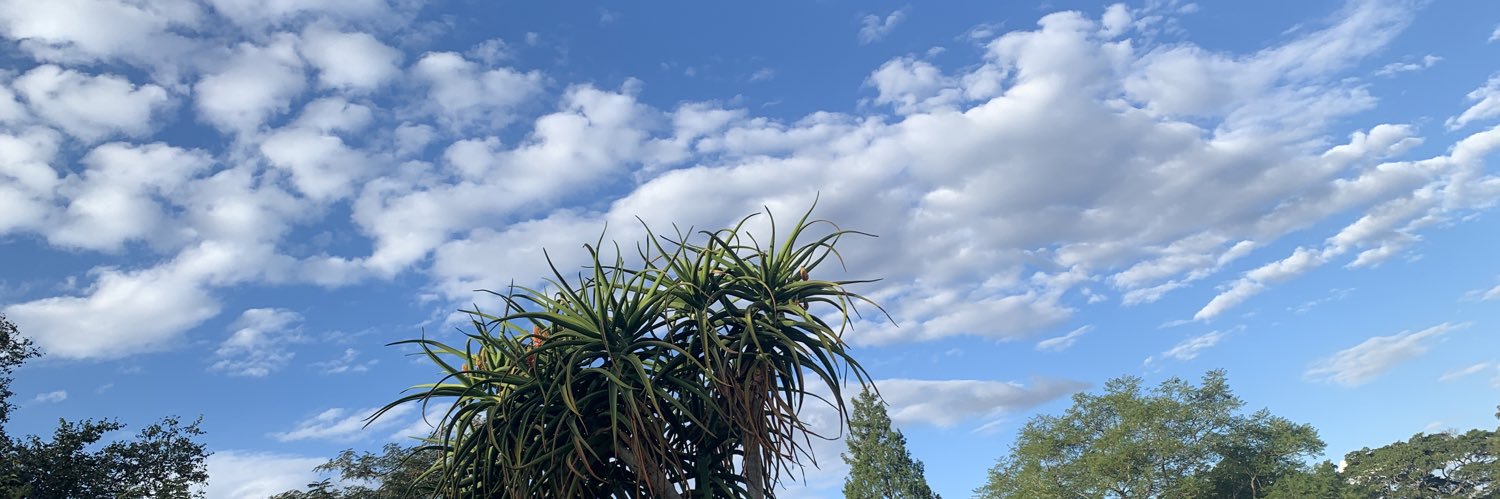 branzo_1's profile banner image