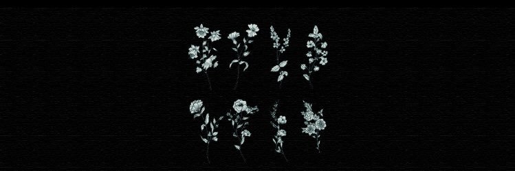 delenaddl's profile banner image