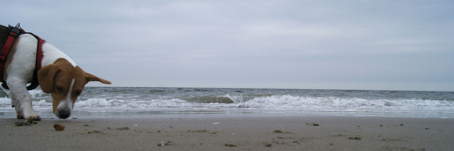 Admhira's profile banner image
