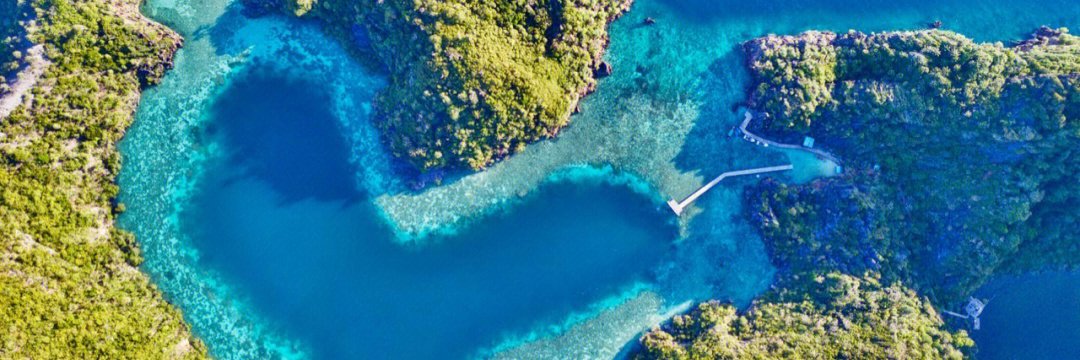 Jacqueline Wright banner