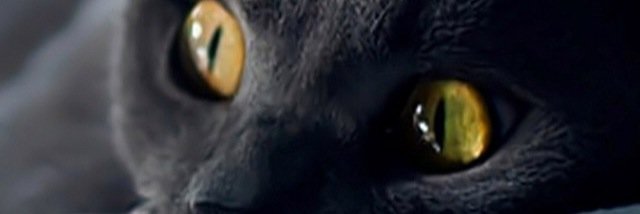 ufuk_1's profile banner image