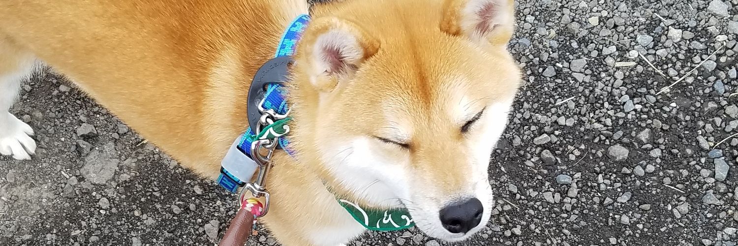scrap_memo's profile banner image