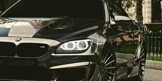 wvdberkmortel's profile banner image