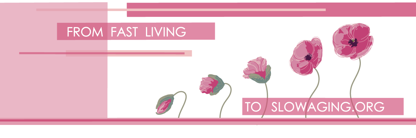 slowageing's profile banner image