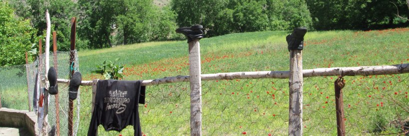 AlbaLuz4's profile banner image