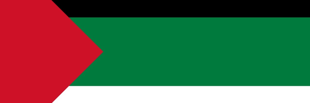 malinite's profile banner image