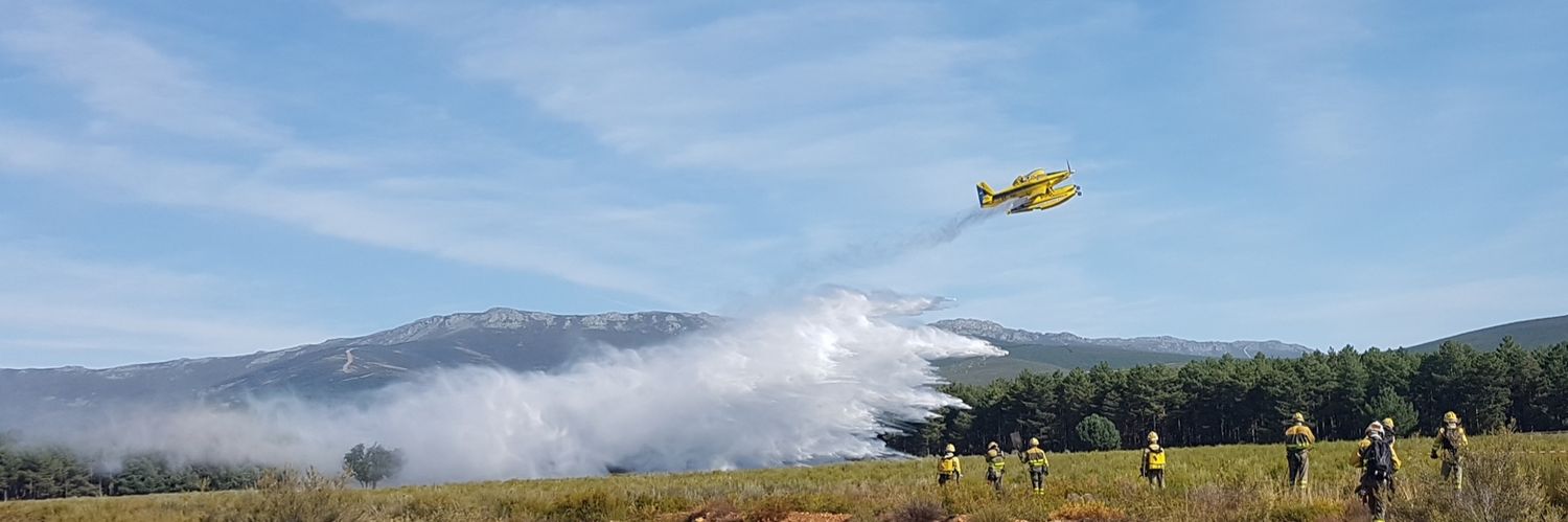 frenteforestal's profile banner image