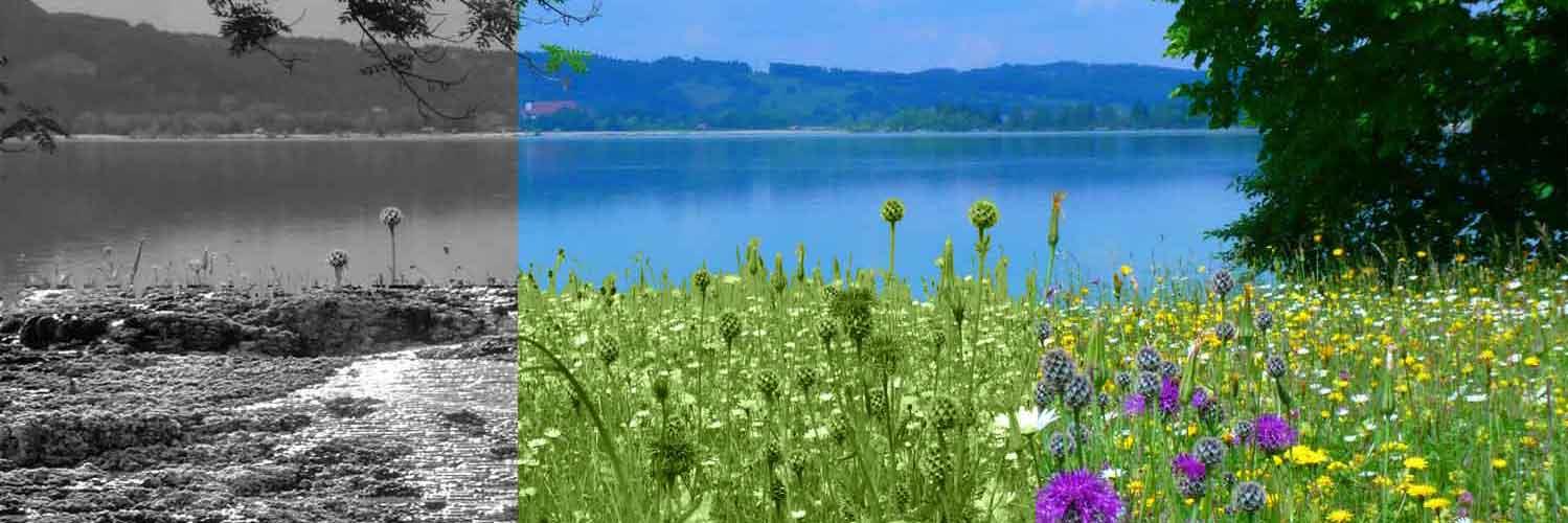 RemediaGroup's profile banner image
