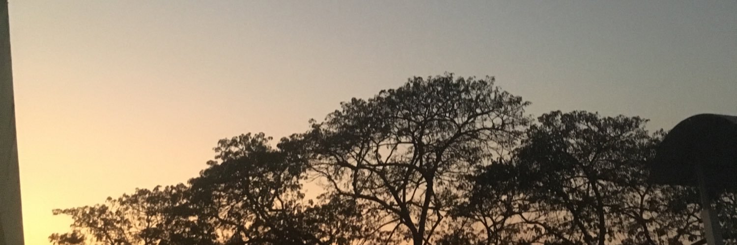 T 🌴 banner