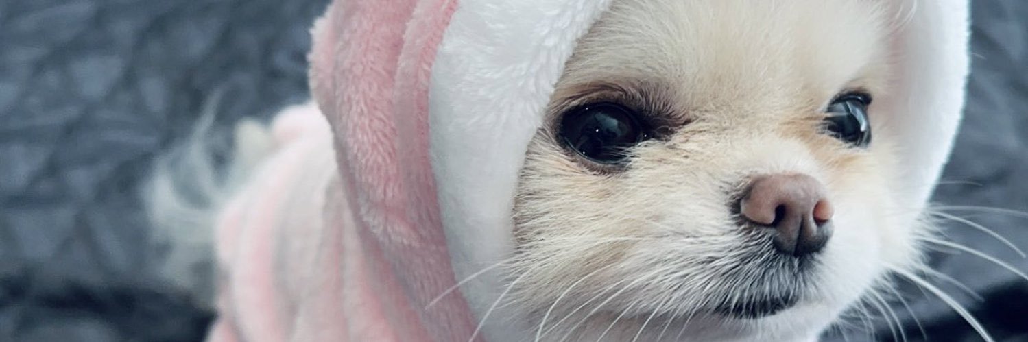 MayaTrades22's profile banner image