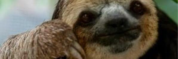 Leeshmonsta's profile banner image
