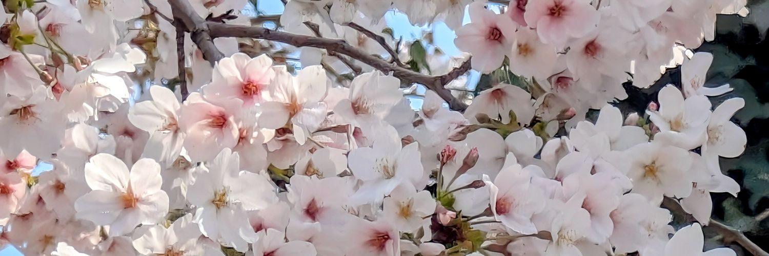 yokoishda1111's profile banner image