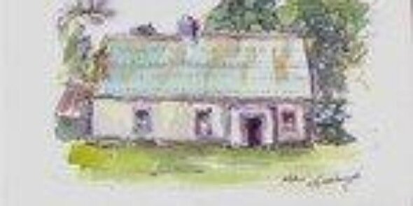 Mary McNally banner