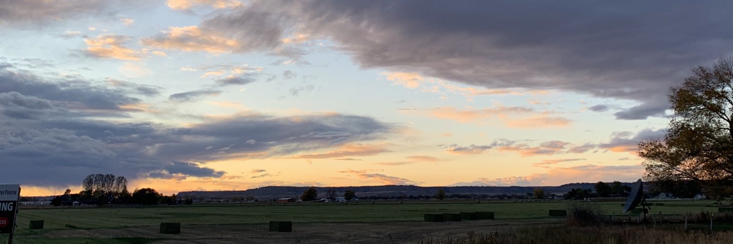maddiedewitt_'s profile banner image