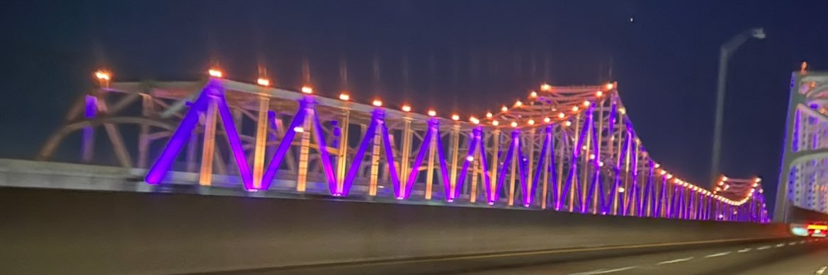 Adoneca Fortier banner