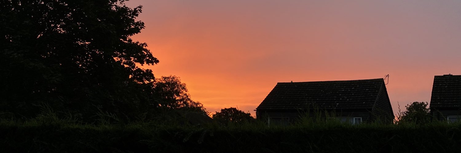 wallowsem's profile banner image