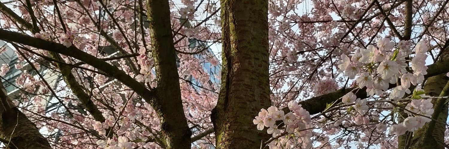 LLBP7's profile banner image