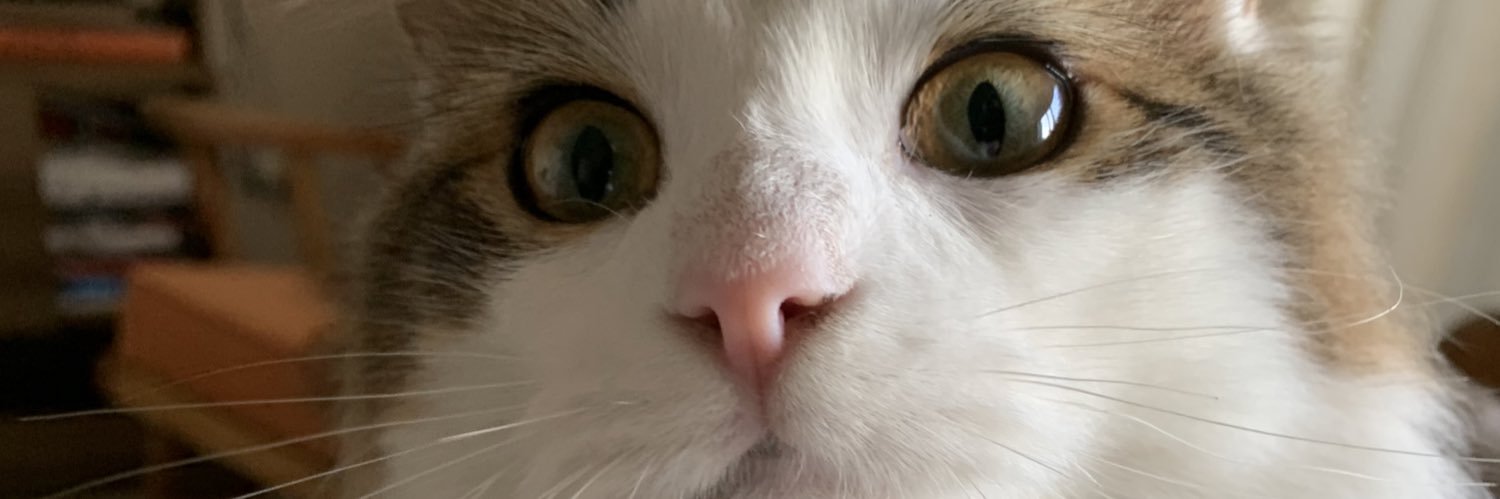 FrancoRod13's profile banner image