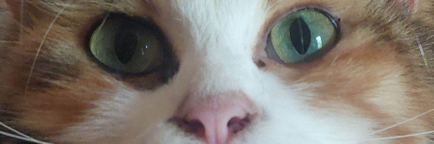 Ur Finance Boy banner