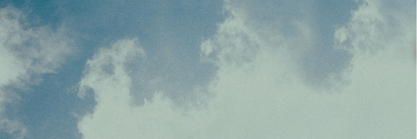 THE GOA EXPRESS banner