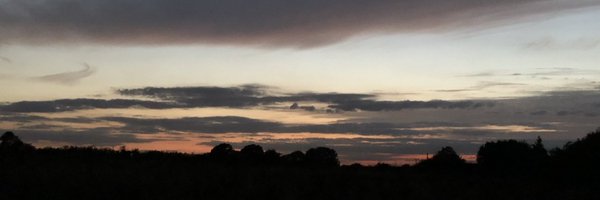 AlanCraftChiro Profile Banner