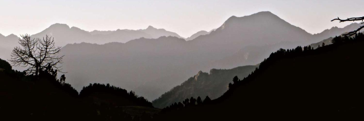 Daniel Rodríguez banner