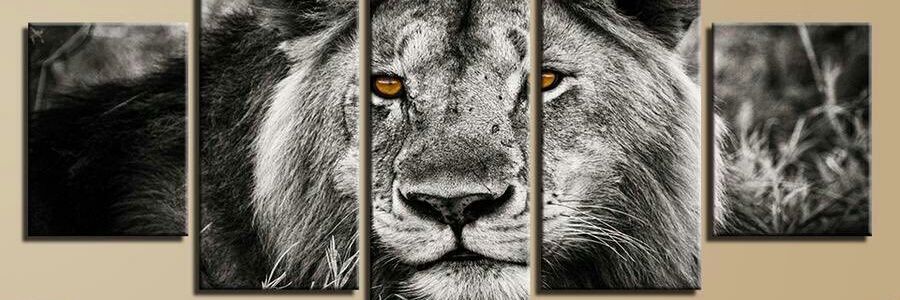kimutai__'s profile banner image