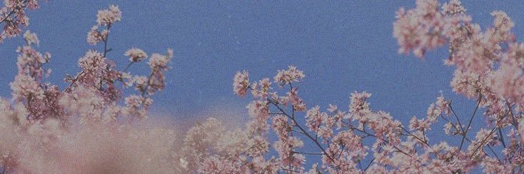 choding_karina's profile banner image