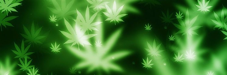 ECMeds541's profile banner image