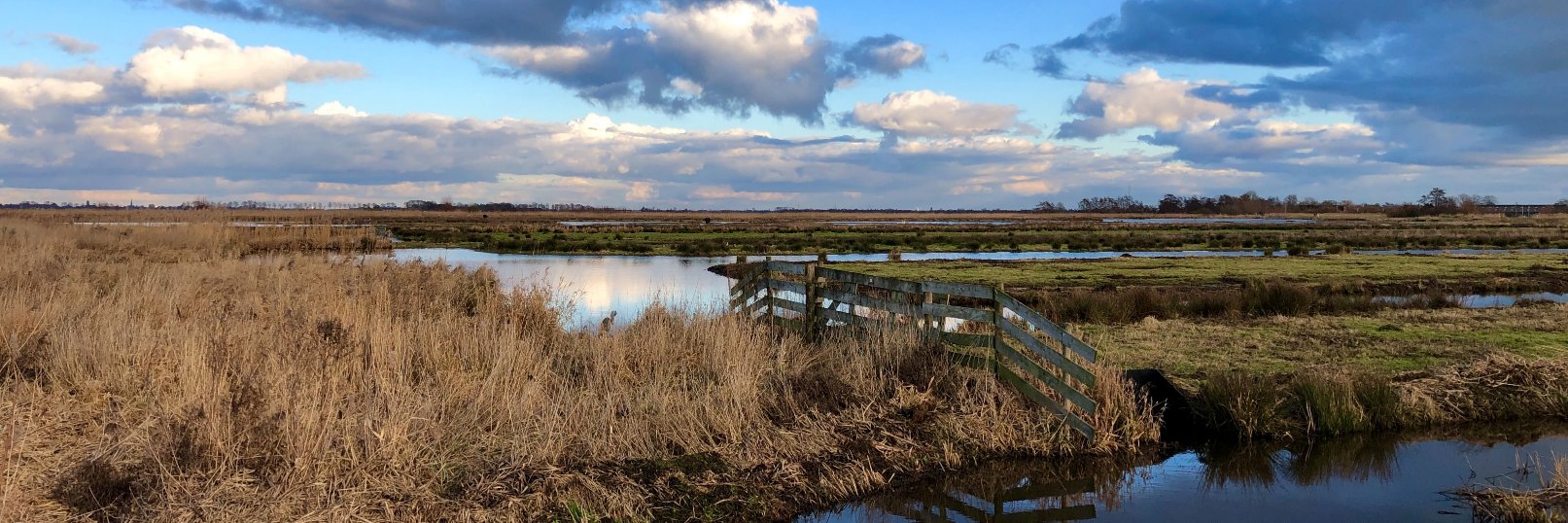 AD Groene Hart banner