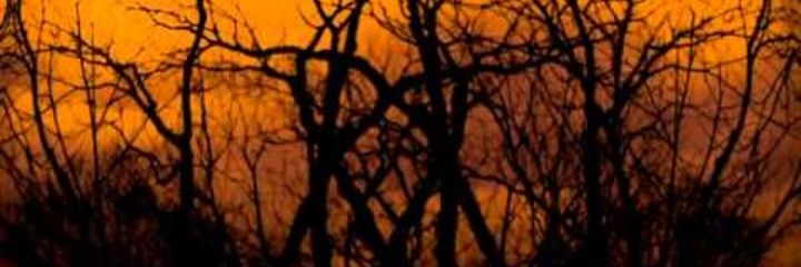 l_emmii's profile banner image