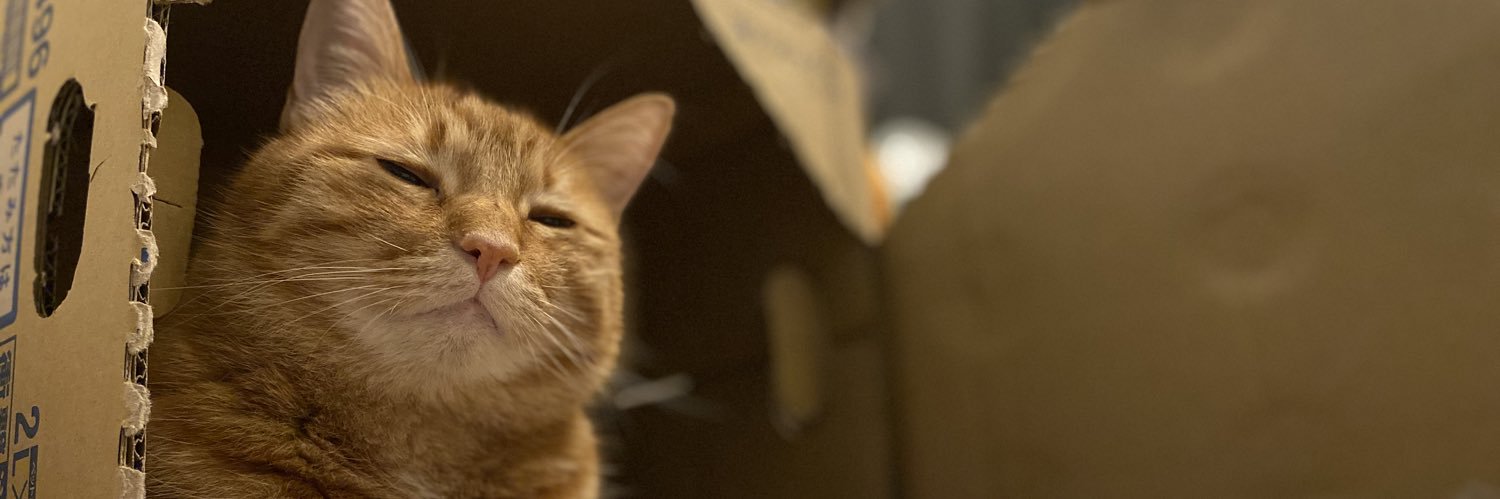 ktt_cb's profile banner image
