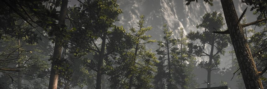 tacepushka's profile banner image
