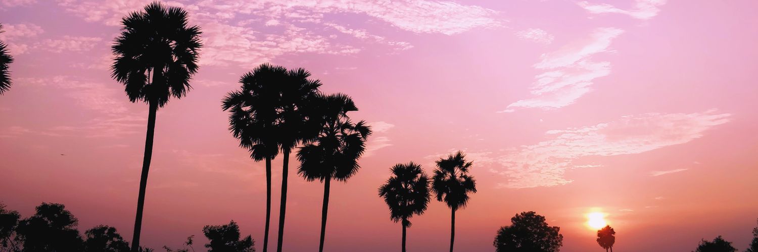 sangu421's profile banner image