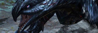 Tas210Hunter01's profile banner image