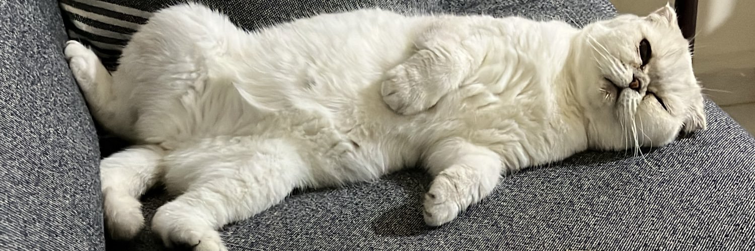 gullseennn's profile banner image